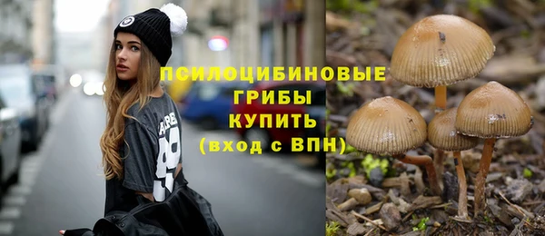 ГАЛЛЮЦИНОГЕННЫЕ ГРИБЫ Алзамай