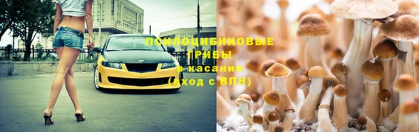 ГАЛЛЮЦИНОГЕННЫЕ ГРИБЫ Алзамай