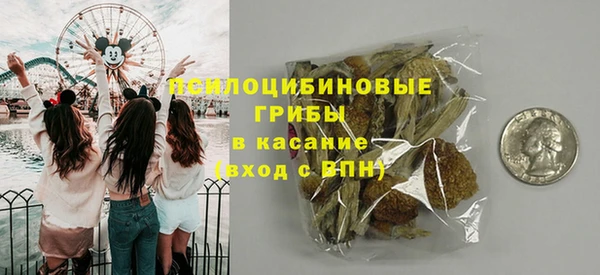 ГАЛЛЮЦИНОГЕННЫЕ ГРИБЫ Алзамай