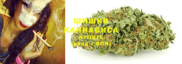 ГАЛЛЮЦИНОГЕННЫЕ ГРИБЫ Алзамай