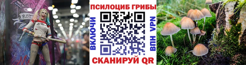купить наркоту Новошахтинск Псилоцибиновые грибы Cubensis