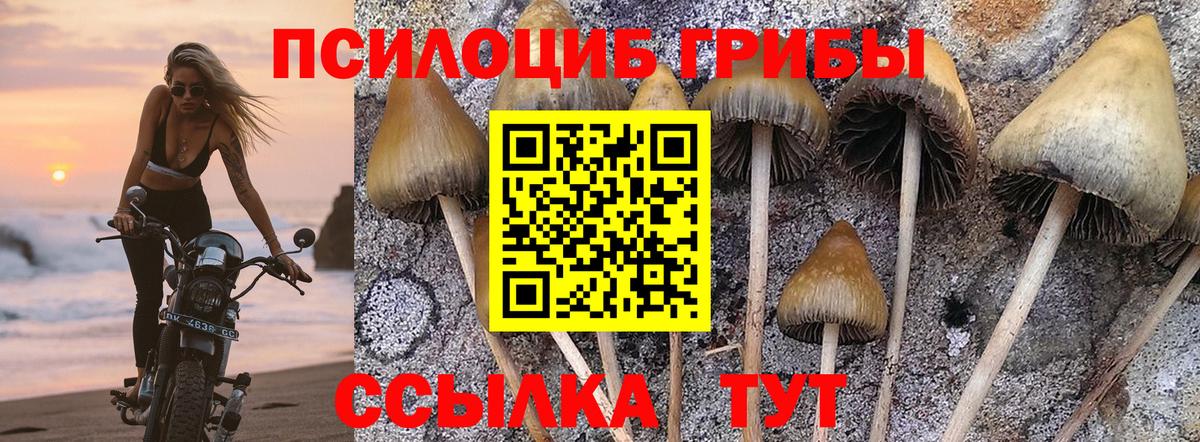 Псилоцибиновые грибы Psilocybe  Вход с VPN  Новошахтинск  Псилоцибиновые грибы прущие грибы 